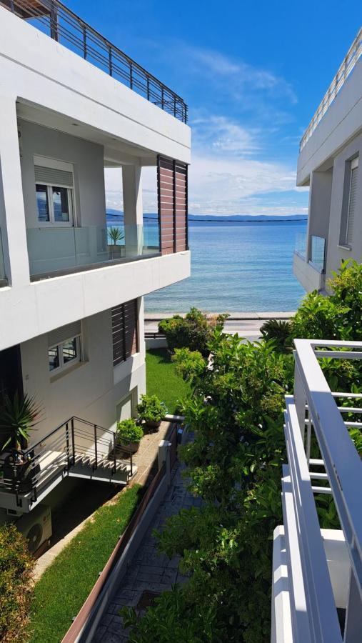 Vila Amare Luxury Living Volos Exteriér fotografie